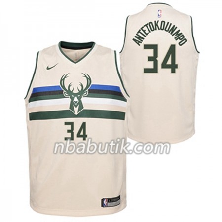 NBA Mænd Trøje Milwaukee Bucks Giannis Antetokounmpo 34 Nike City Edition Swingman NBA Mænd Trøje Milwaukee Bucks Giannis Antetokounmpo 34 Nike City Edition Swingman